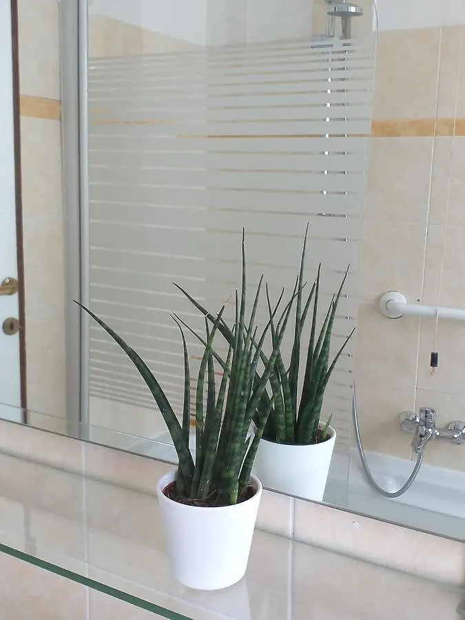 Guest house Casa Olivieri Hotel Rome